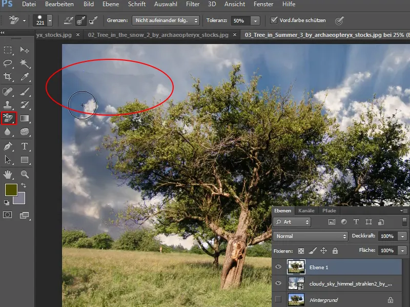 Cropping trees - a breeze with these tricks