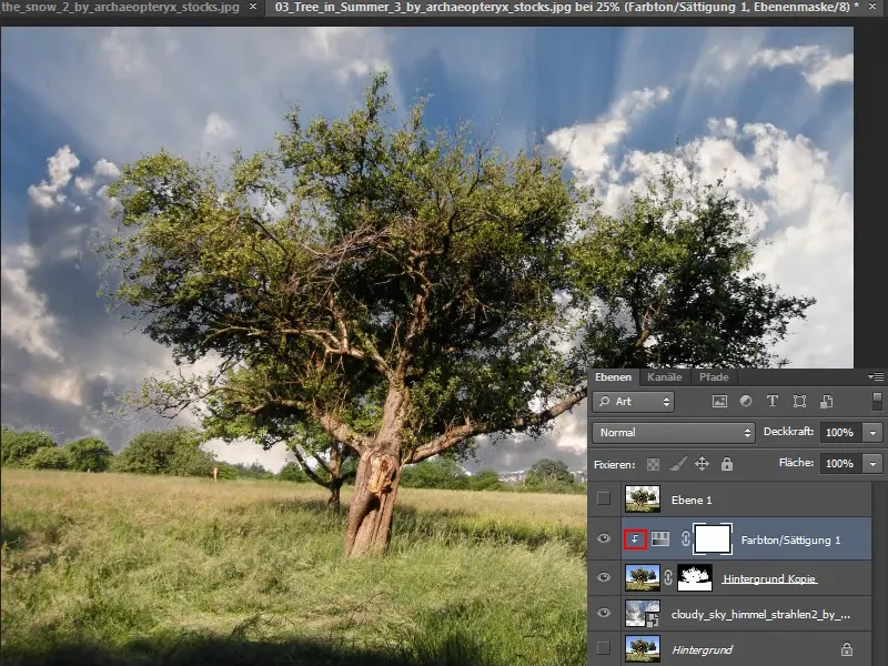 Cropping trees - a breeze with these tricks