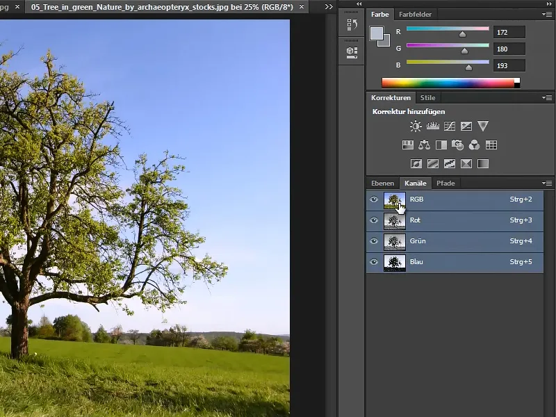 Cropping trees - a breeze with these tricks