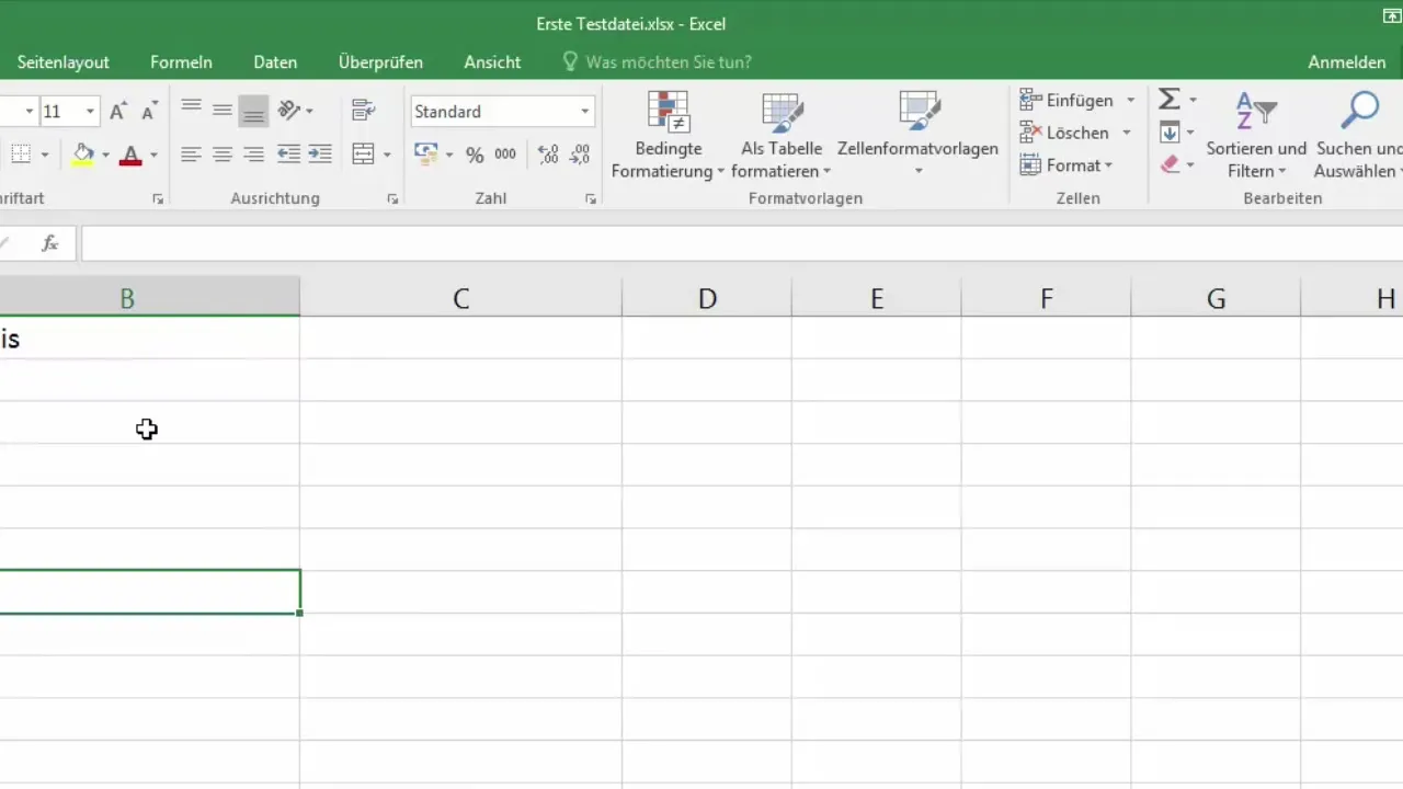 Basics of text input and number formatting in Excel