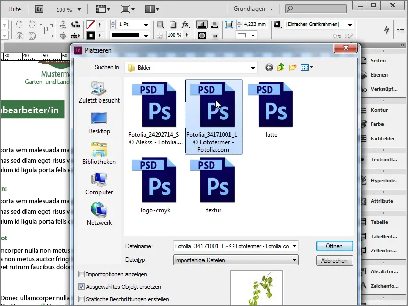 Oblikovanje oglasov za delovna mesta v programu Adobe InDesign