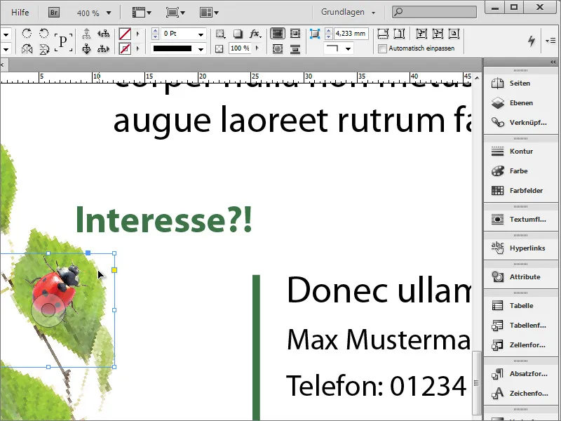 Oblikovanje oglasov za zaposlitev v programu Adobe InDesign