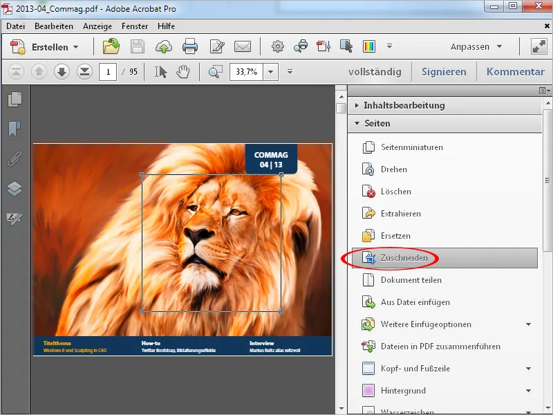 Modificare pagine con Acrobat.