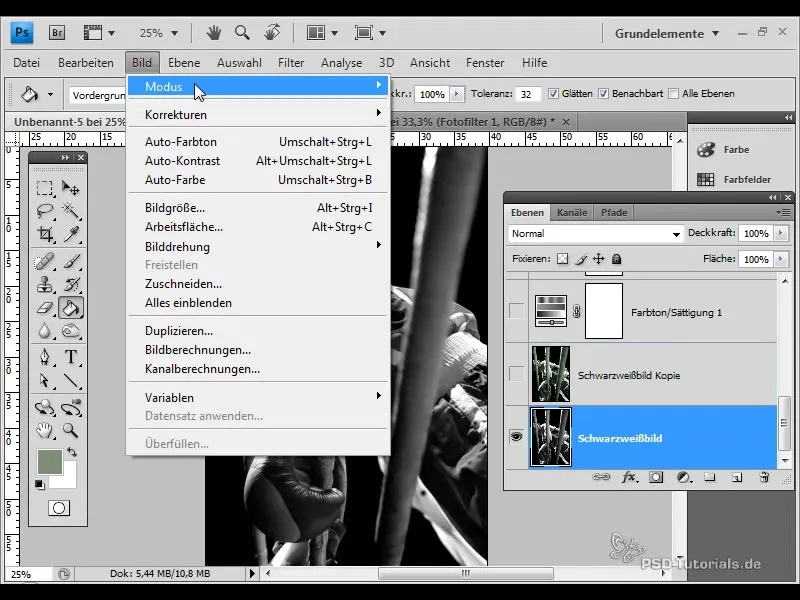 Farbliche Tonung von Schwarz-Weiß-Bildern in Photoshop