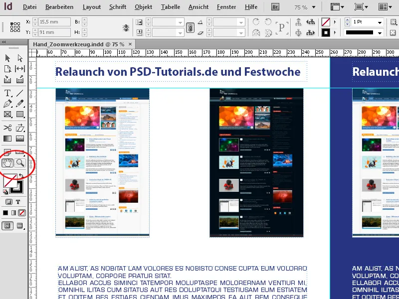 Nástroj pro posun a nástroj zoom v programu InDesign