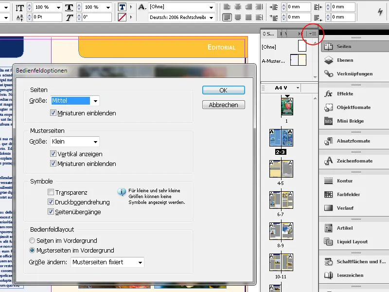 Navigation und Ansichtsmodi in InDesign