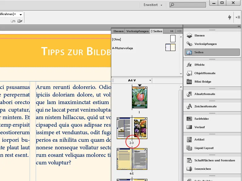 Navigation und Ansichtsmodi in InDesign