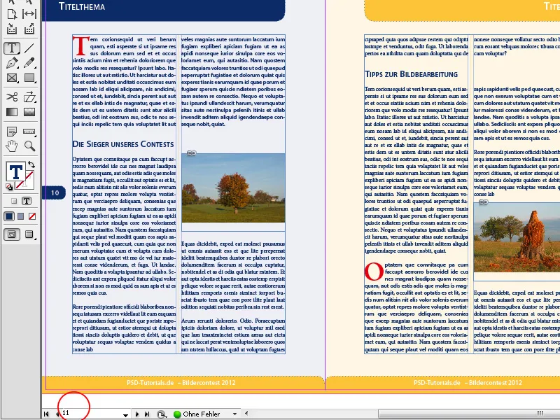 Navigation und Ansichtsmodi in InDesign