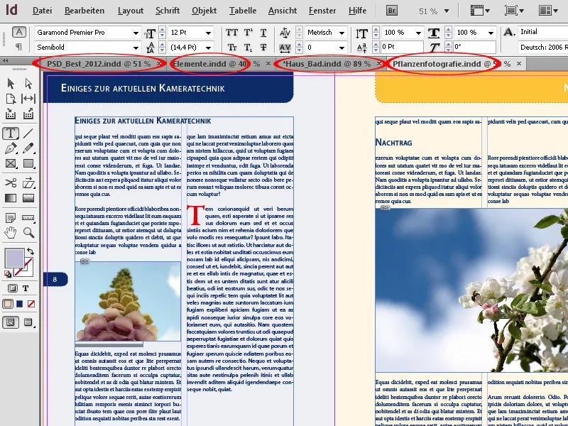 Navigation und Ansichtsmodi in InDesign