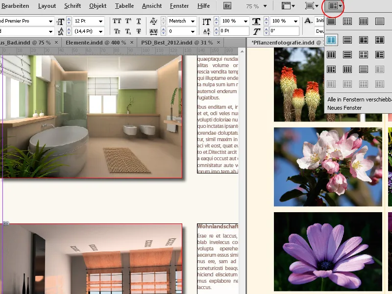 Navigation und Ansichtsmodi in InDesign