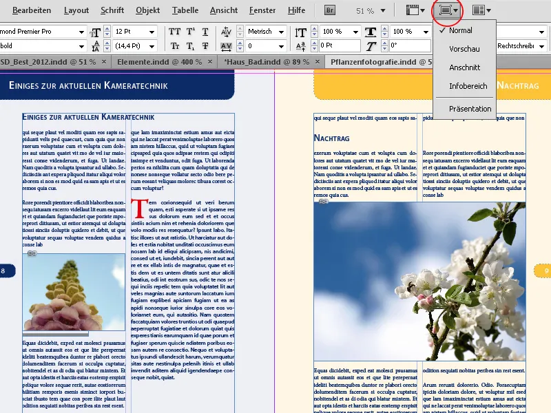 Navigation und Ansichtsmodi in InDesign