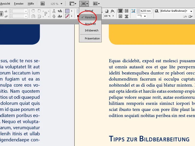 Navigation und Ansichtsmodi in InDesign