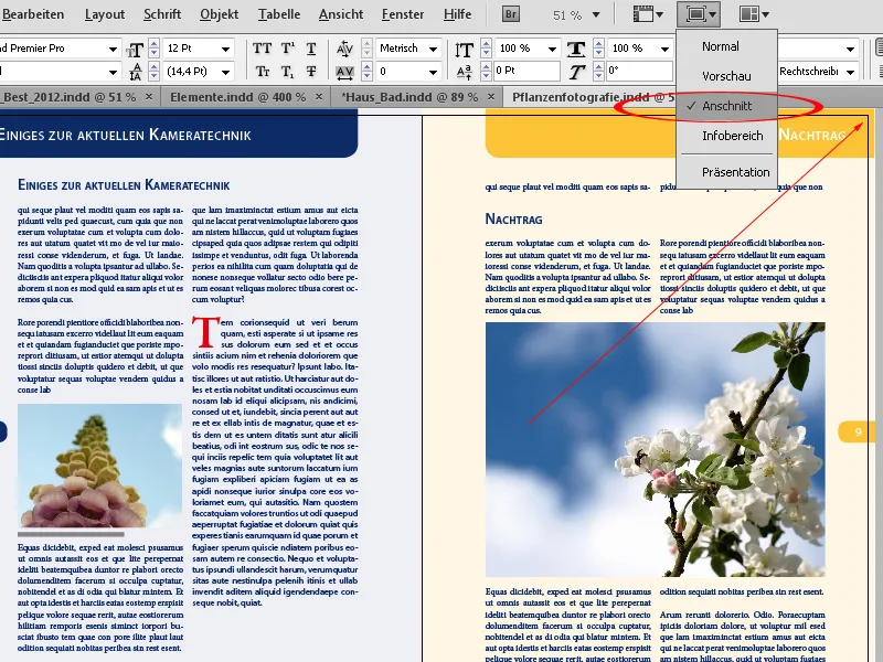 Navigation und Ansichtsmodi in InDesign