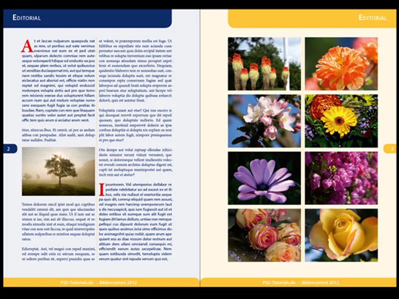 Navigation und Ansichtsmodi in InDesign