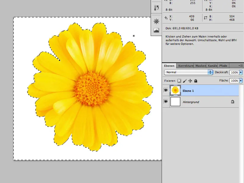 Blomstrende skrift i Photoshop