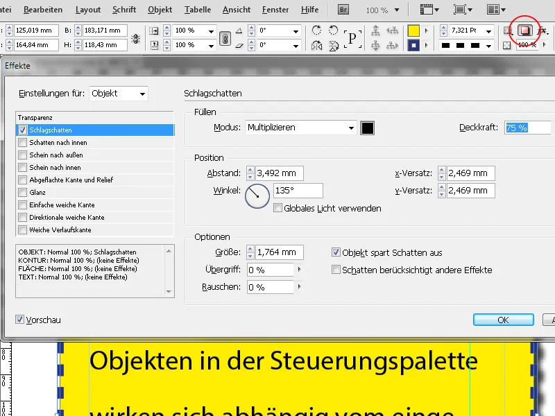 Die Steuerungspalette in InDesign