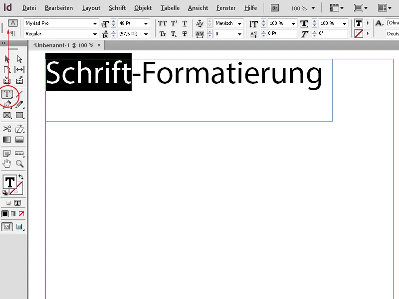 Die Steuerungspalette in InDesign