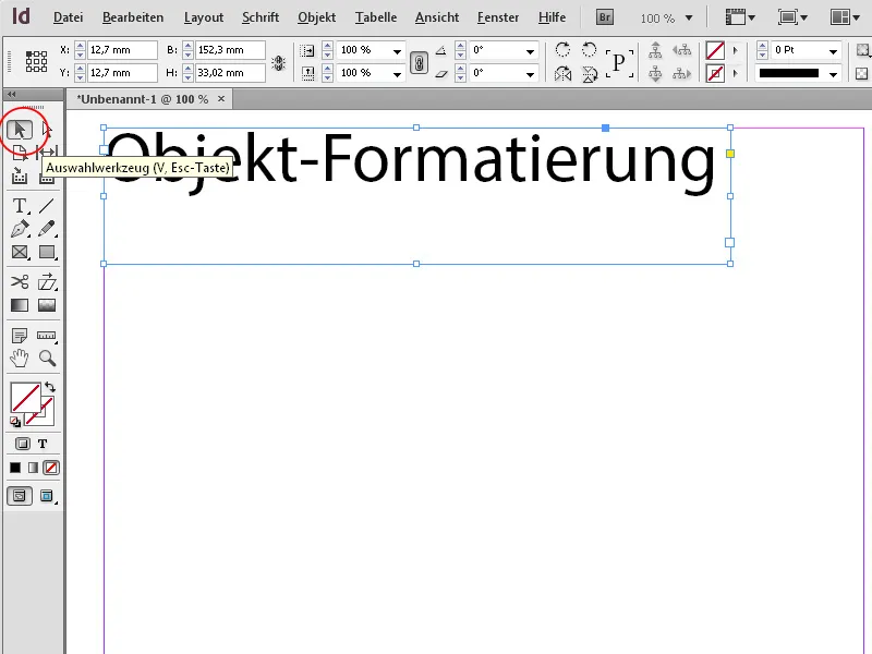 Die Steuerungspalette in InDesign