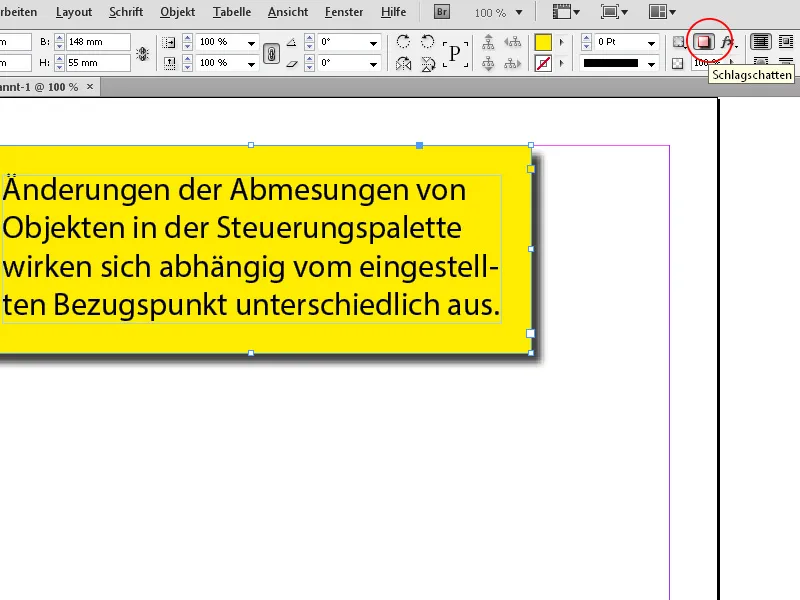 Die Steuerungspalette in InDesign