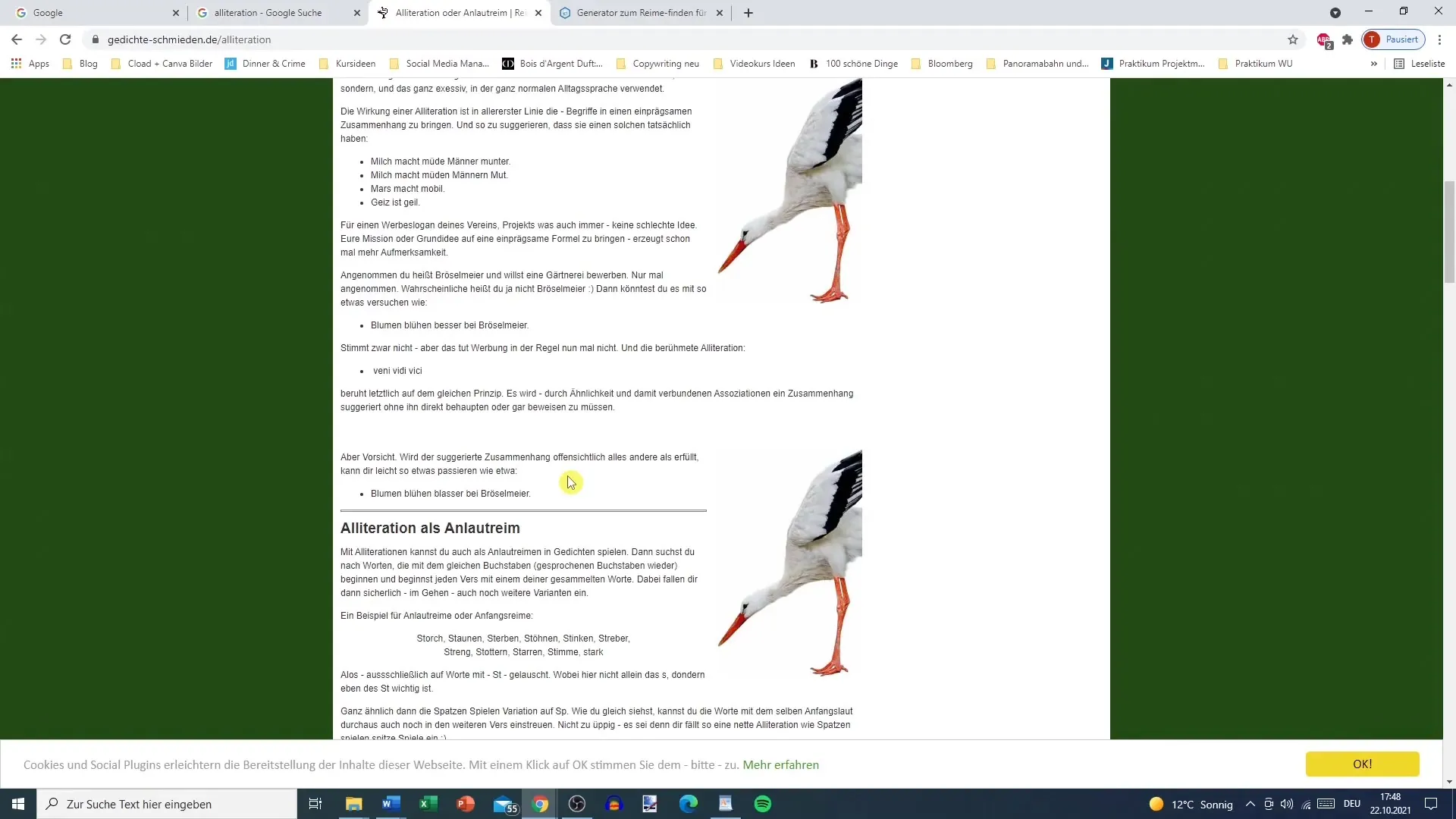 Encontrar aliteraciones creativas - Así es como utilizas herramientas de manera efectiva