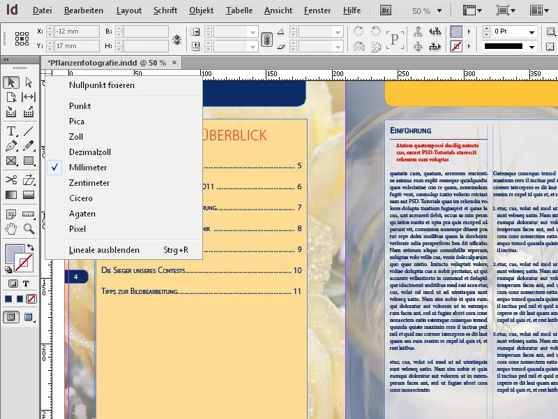 Das Kontextmenü in InDesign