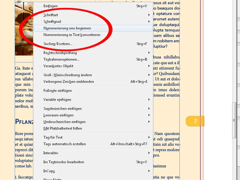 Das Kontextmenü in InDesign