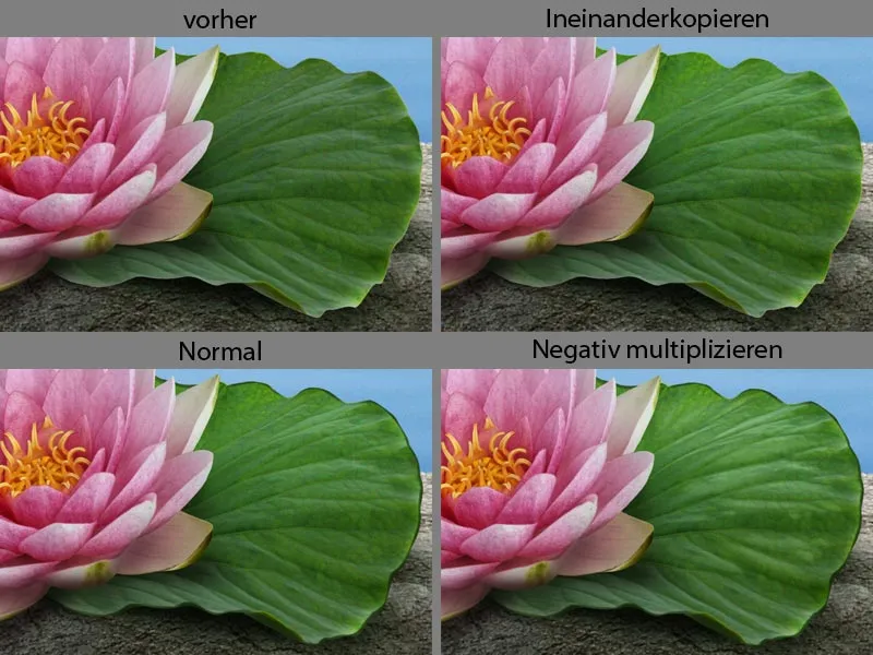 Рекламный плакат Lotus Tea - Часть 05 - Вставить композицию - чайник с надписью лотоса