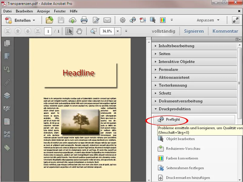 Preflight-Profil in Acrobat - Översikt