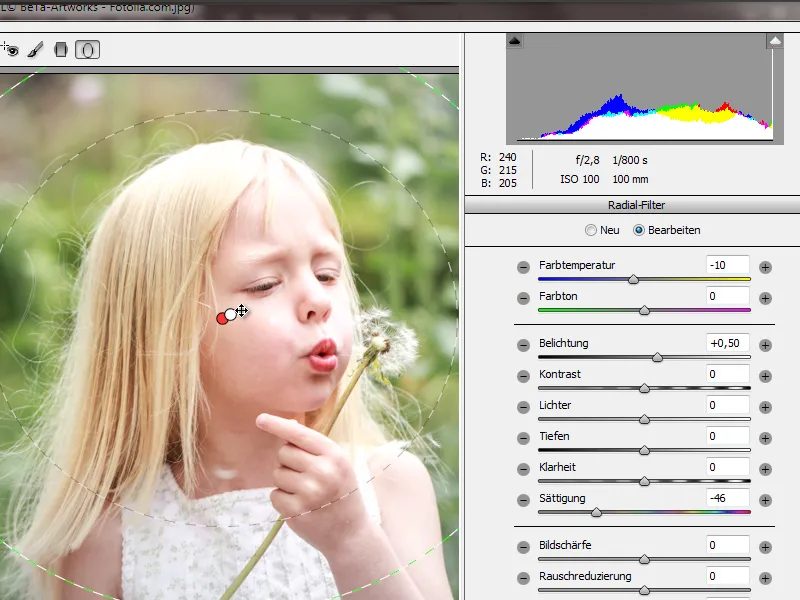 Novidades na Creative Cloud: Photoshop CC 14 (junho 2013) - Camera Raw 8