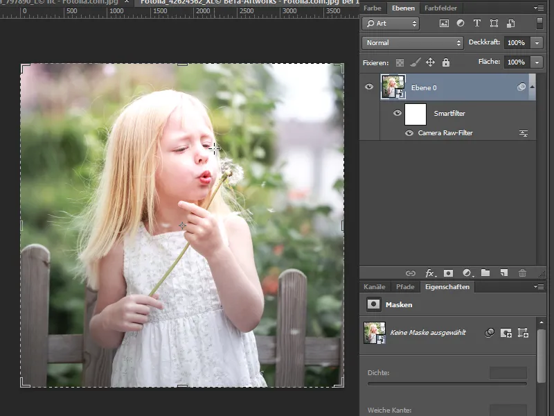 Nouveautés dans le Creative Cloud : Photoshop CC 14 (Juin 2013) - 05 Camera Raw 8