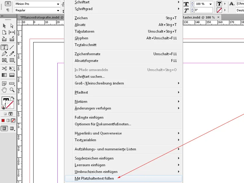 Lineale, Raster und Hilfslinien in InDesign