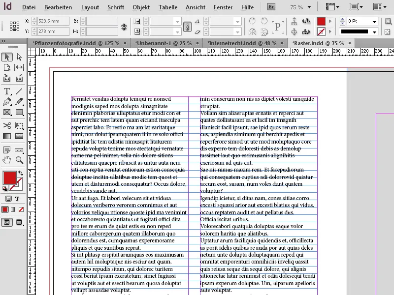 Lineale, Raster und Hilfslinien in InDesign