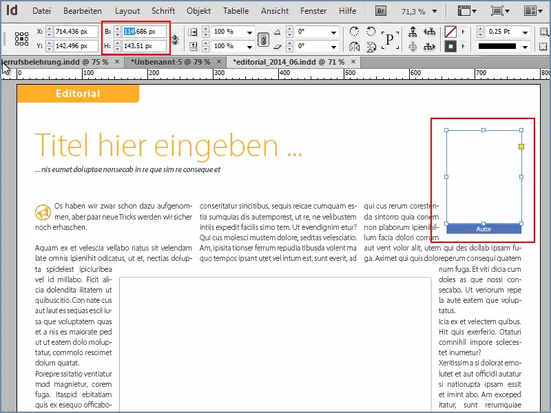 Conseils et astuces pour Adobe InDesign : trouver un espace réservé pour une image de résolution quelconque