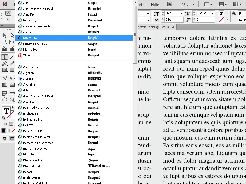 Typografie in InDesign