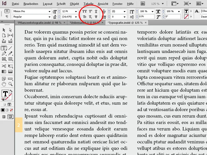 Typografie in InDesign