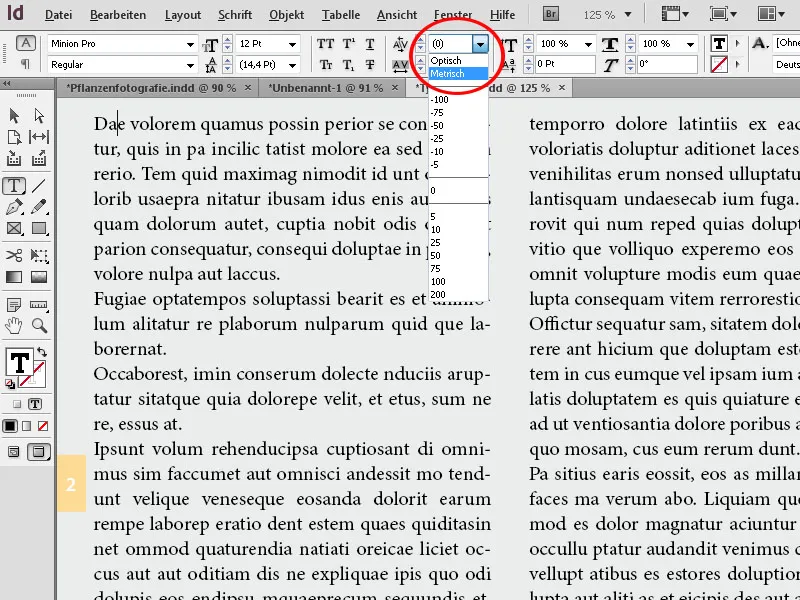 Typografie in InDesign