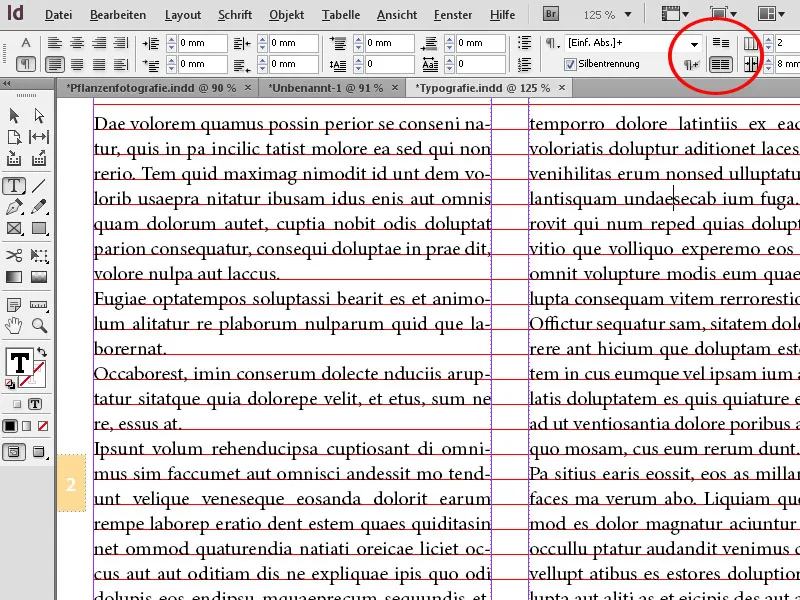 Typografie in InDesign