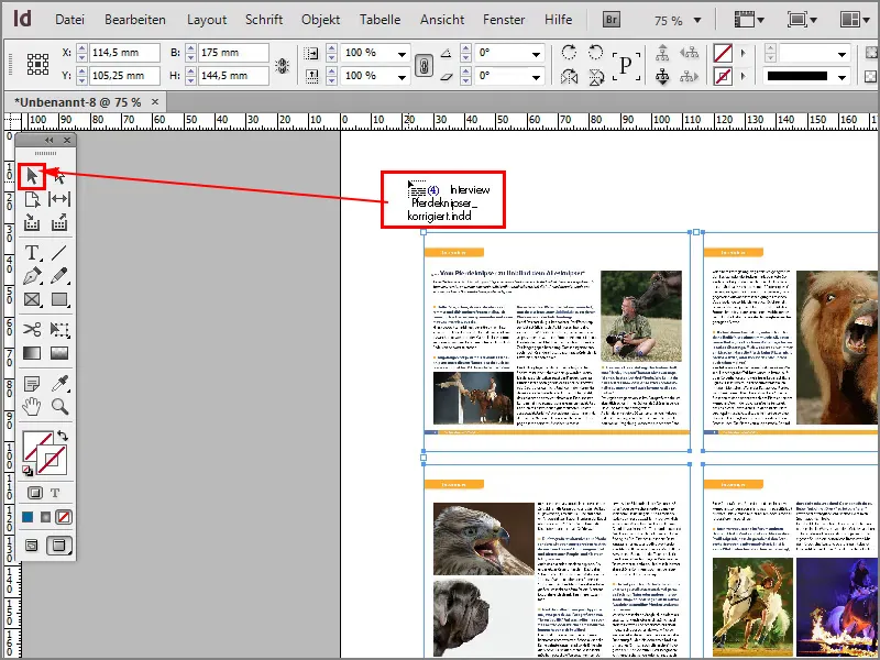 Porady dotyczące Adobe InDesign: Umieszczanie kilku stron pliku PDF lub pliku InDesign jako planu kontaktowego. Porady i sztuczki dotyczące Adobe InDesign: Umieszczanie wielu stron pliku PDF lub pliku InDesign jako proof kontaktowy.