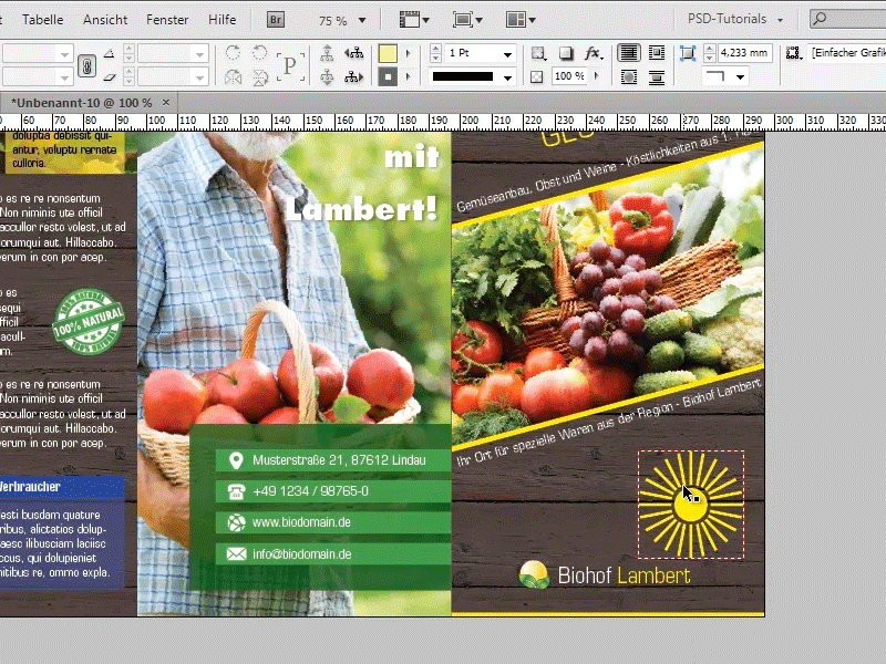 Tips & tricks för Adobe InDesign: Skapa solstråleeffekt/sunbeams genom smart kopiering.