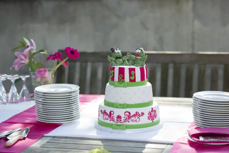 Fotografía de bodas parte 07: Celebraciones