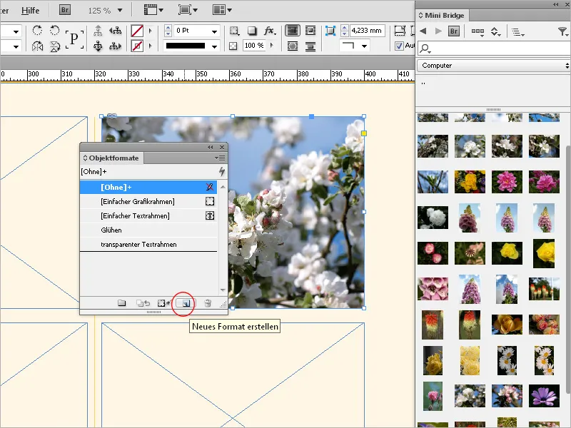 Bilder platzieren, einpassen und einfärben in InDesign