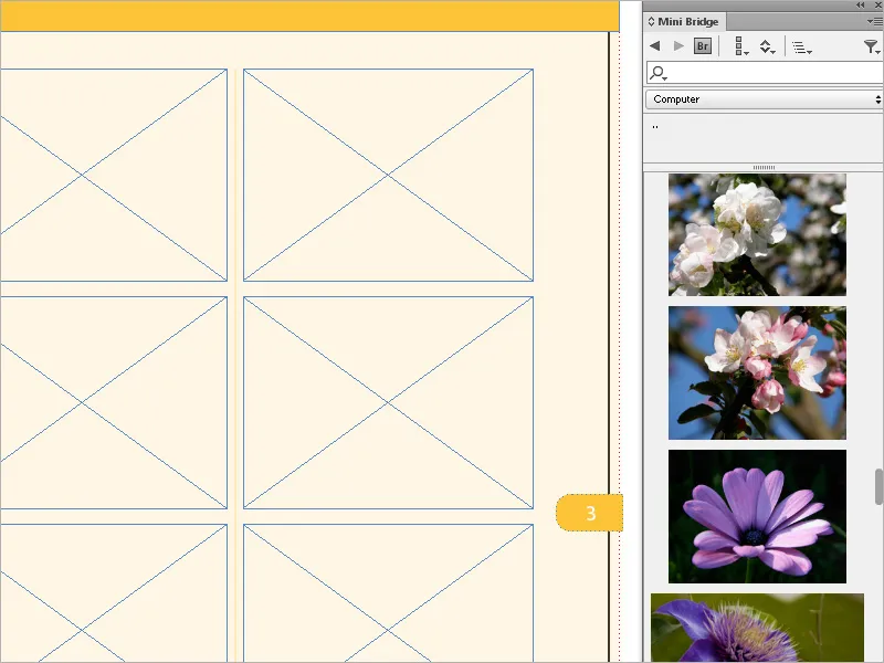 Bilder platzieren, einpassen und einfärben in InDesign