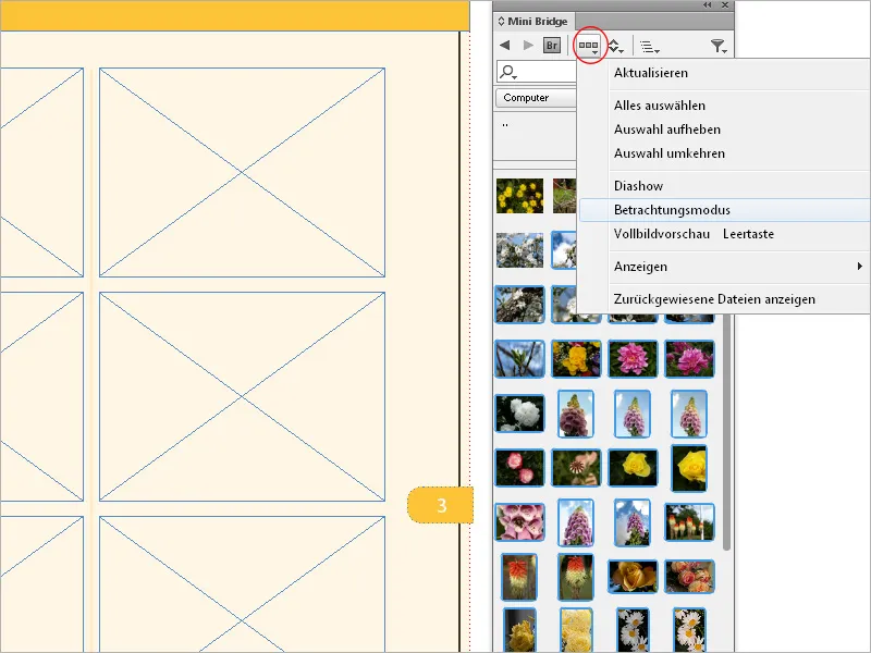 Bilder platzieren, einpassen und einfärben in InDesign