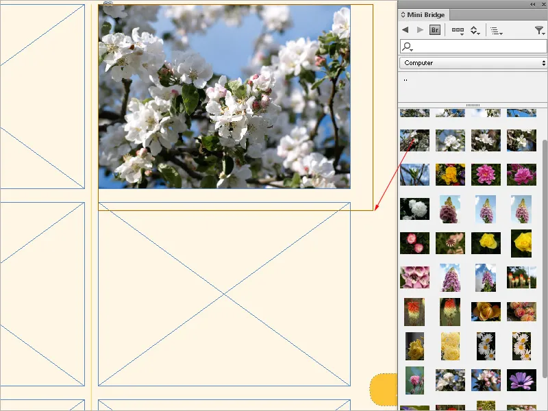 Bilder platzieren, einpassen und einfärben in InDesign