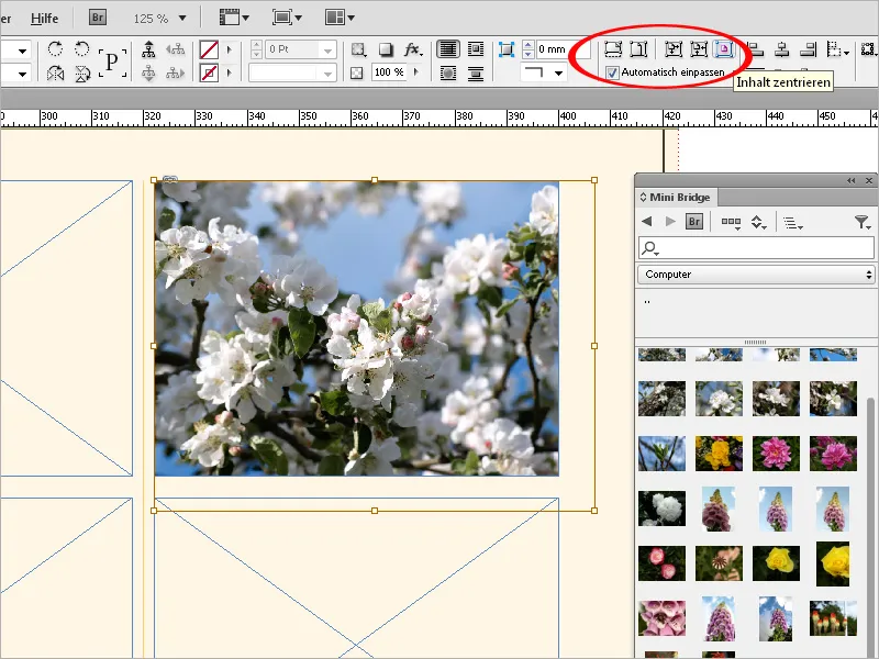 Bilder platzieren, einpassen und einfärben in InDesign