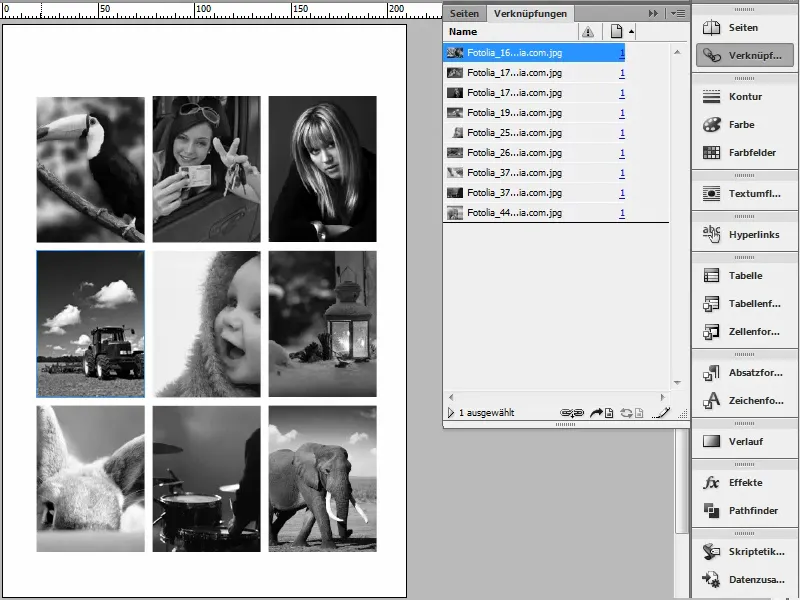 Astuces pour Adobe InDesign : Comparer rapidement des photos en noir et blanc et en couleur.