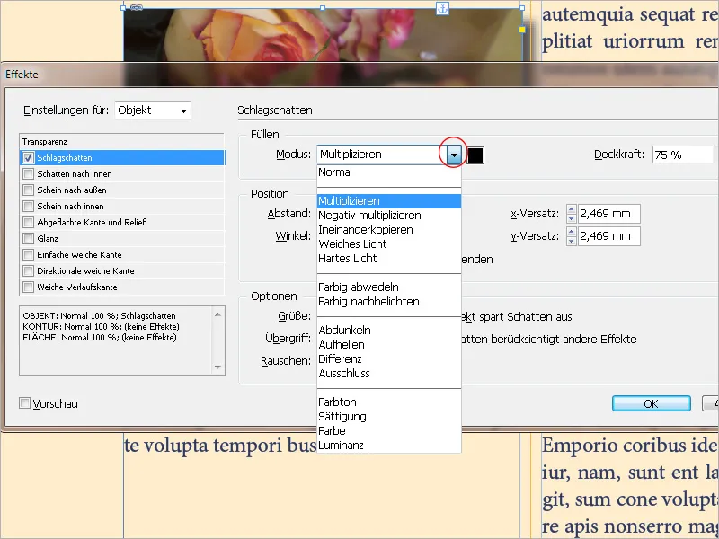 Poveikių objektams pridėjimas programoje "InDesign