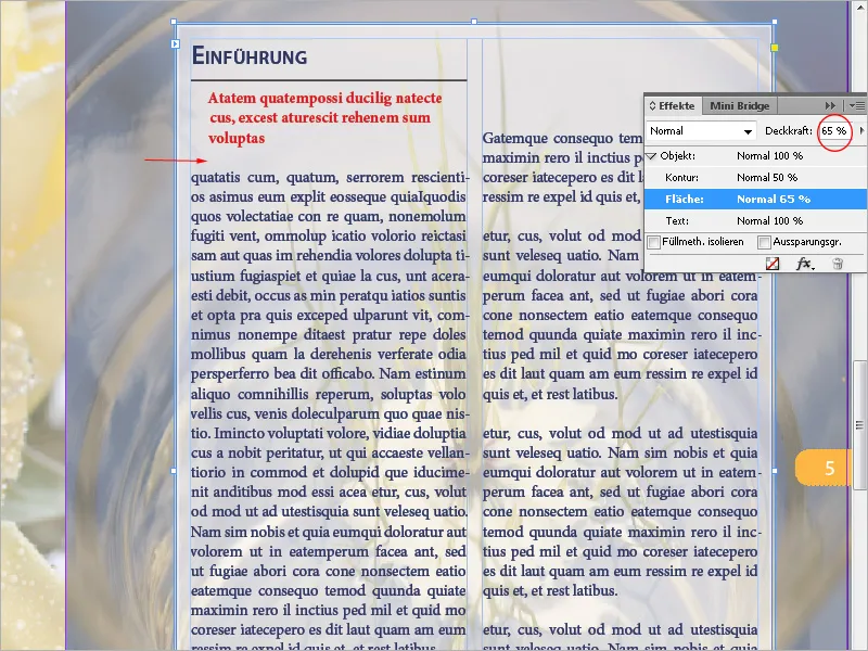 Objekte mit Effekten versehen in InDesign