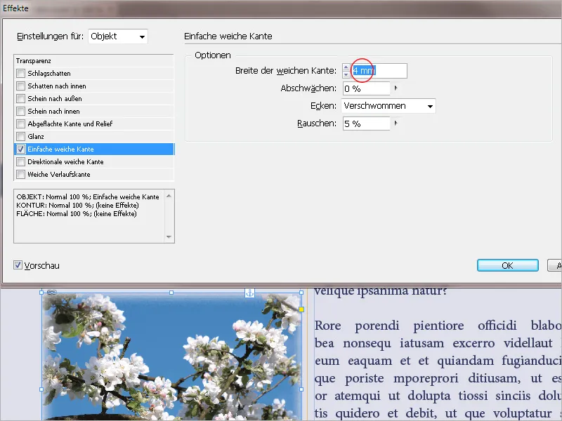 Objekte mit Effekten versehen in InDesign