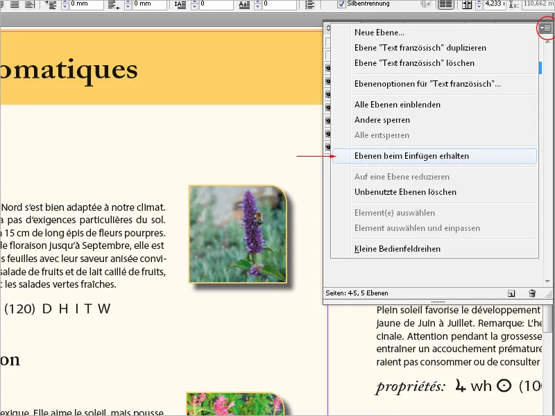 Slāņu funkcija programmā InDesign